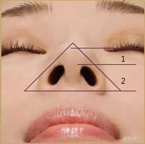 三角形鼻子面相 立碑格式